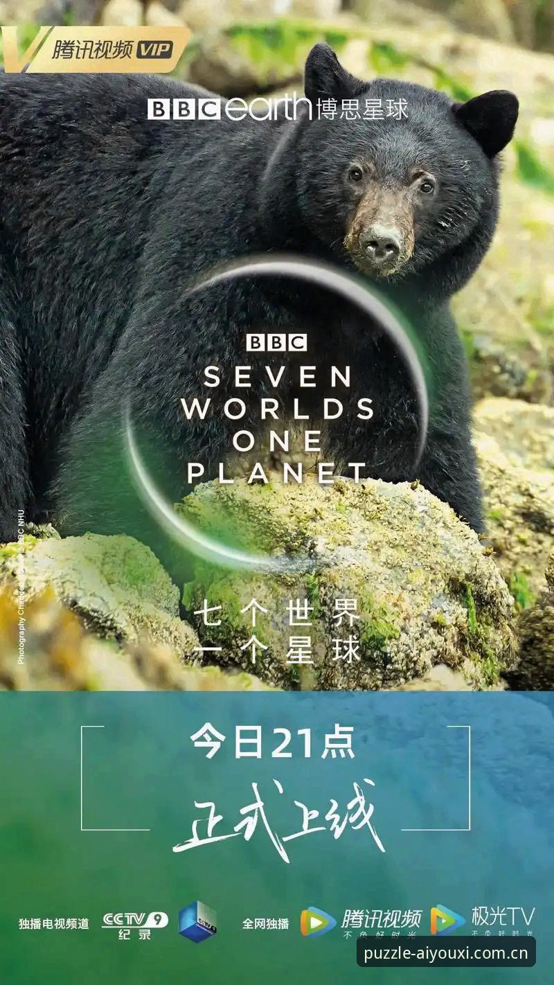 揭秘索斯盖特BBC新纪录片：年轻男性困境背后的数据真相